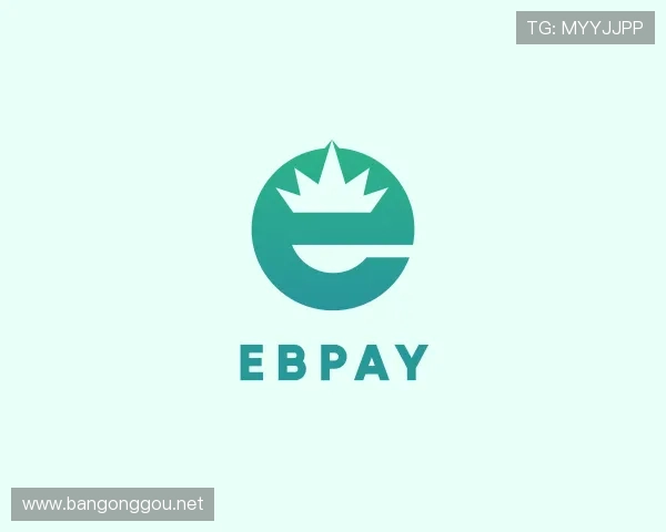 关于EBpay